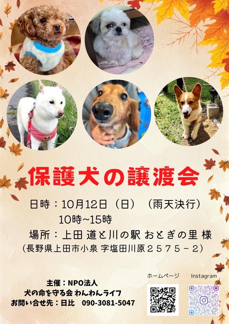 「保護犬の譲渡会」開催のお知らせ