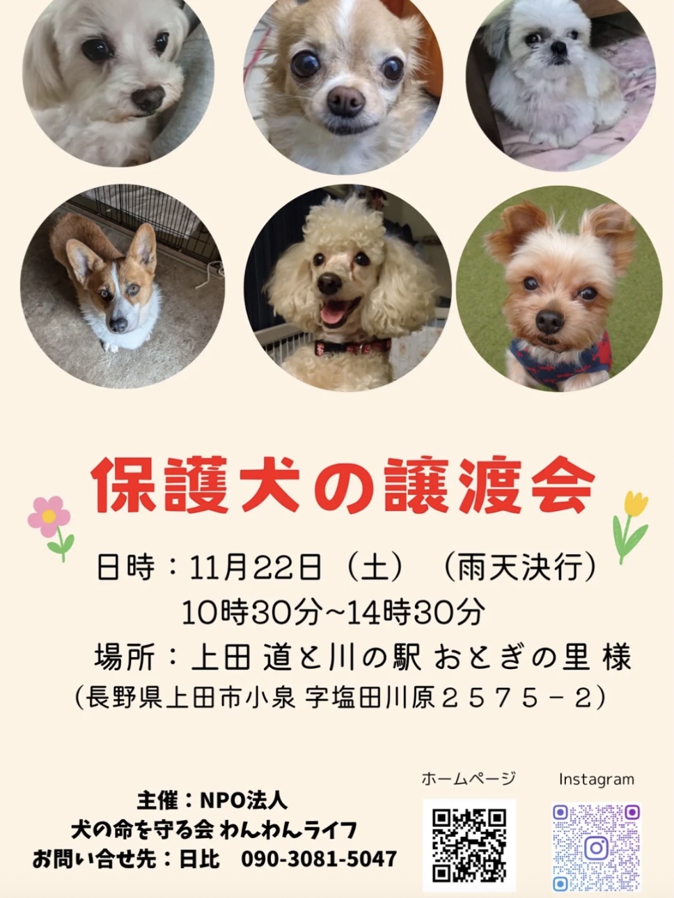 「保護犬の譲渡会」開催のお知らせ