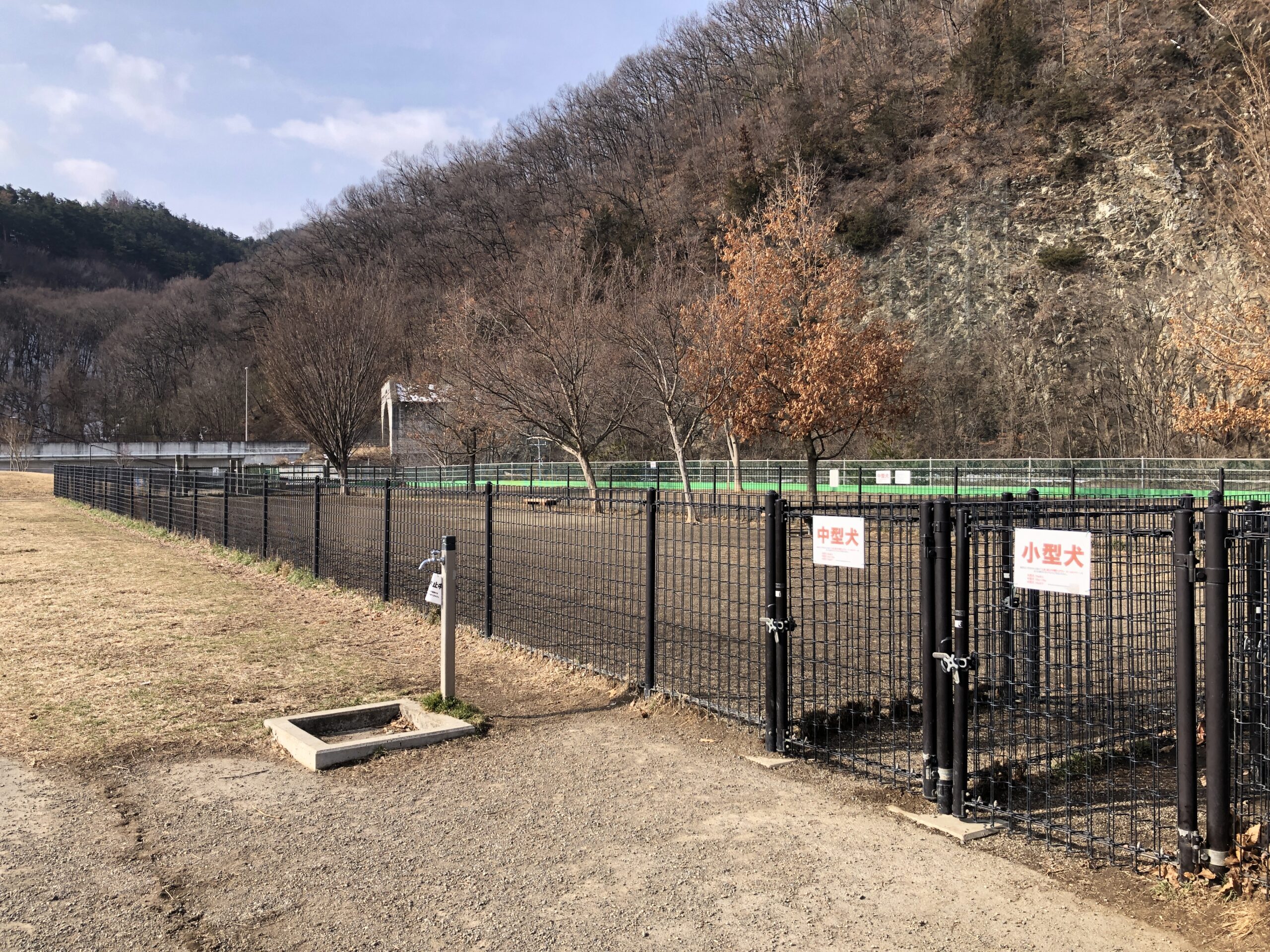 ドッグラン_秋冬